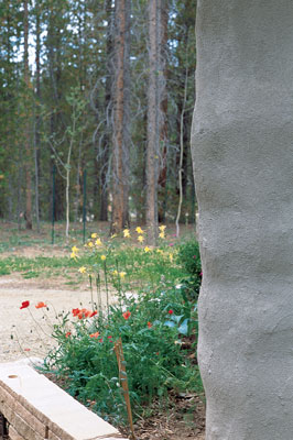 
The bales give the walls an intriguing, lumpy texture.
